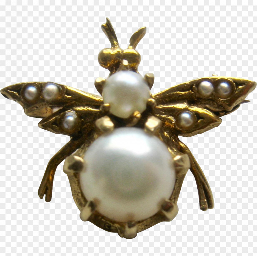 Beehive Insect Brooch Jewellery Clothing Accessories Pollinator PNG