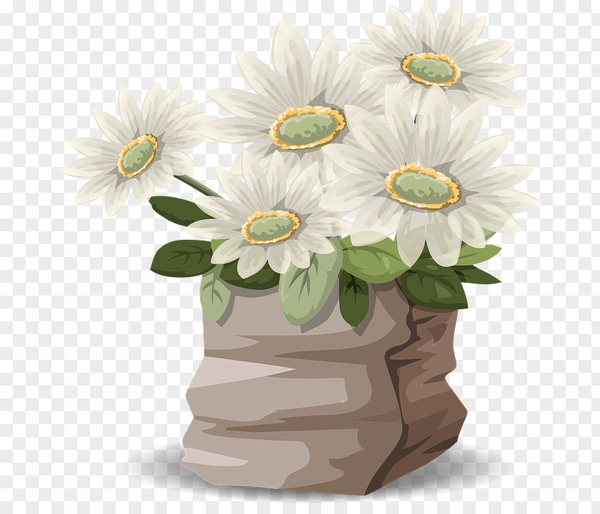 Flower Common Daisy Vaginitis Itch Clip Art PNG