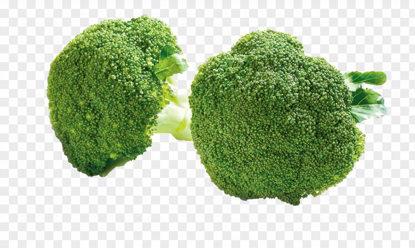 Green Broccoli Cauliflower Cabbage Nutrition Food PNG