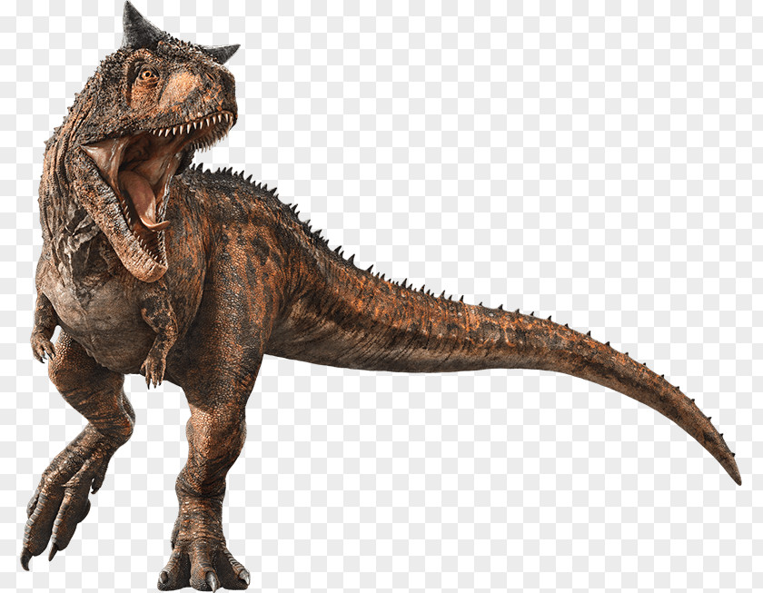Jurassic Park Velociraptor Tyrannosaurus Carnotaurus World Evolution Stygimoloch PNG