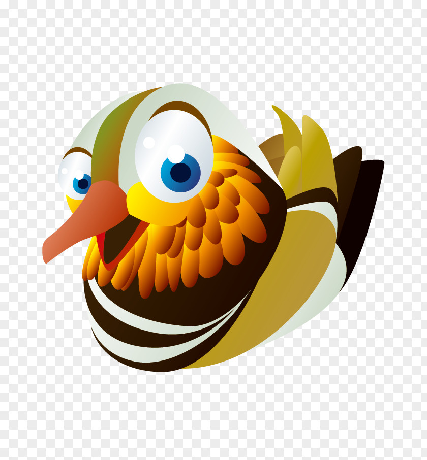 Mandarin Duck Euclidean Vector Computer File PNG