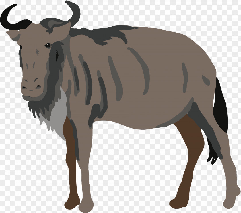 Wildebeest Animal PNG