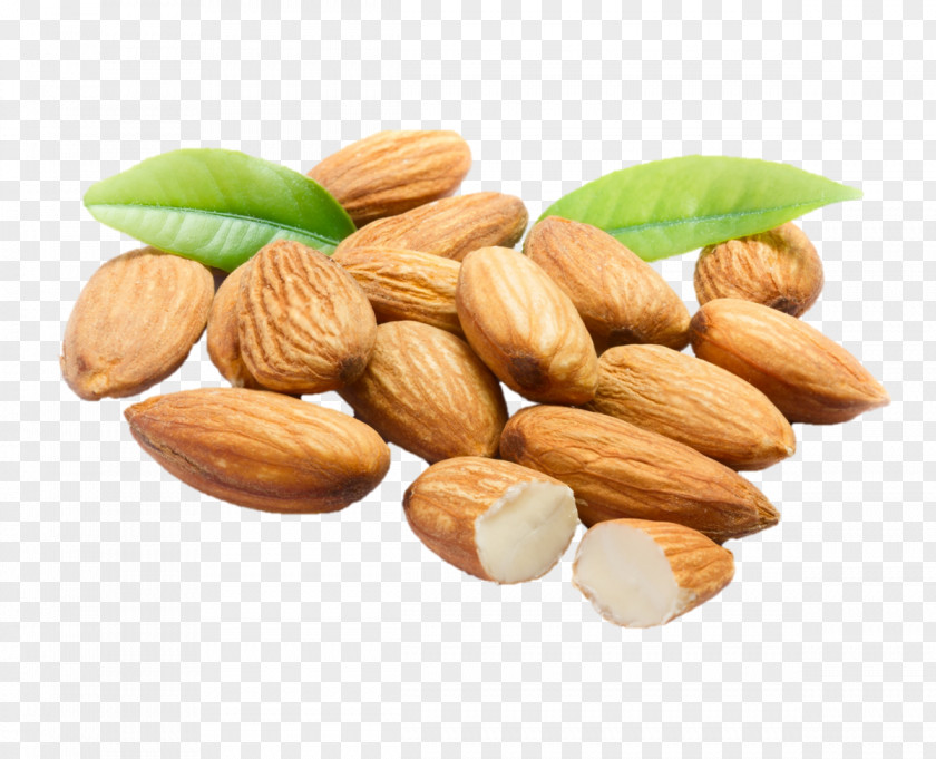 Almond Meal Moksha Lifestyle Products Nut Oil PNG