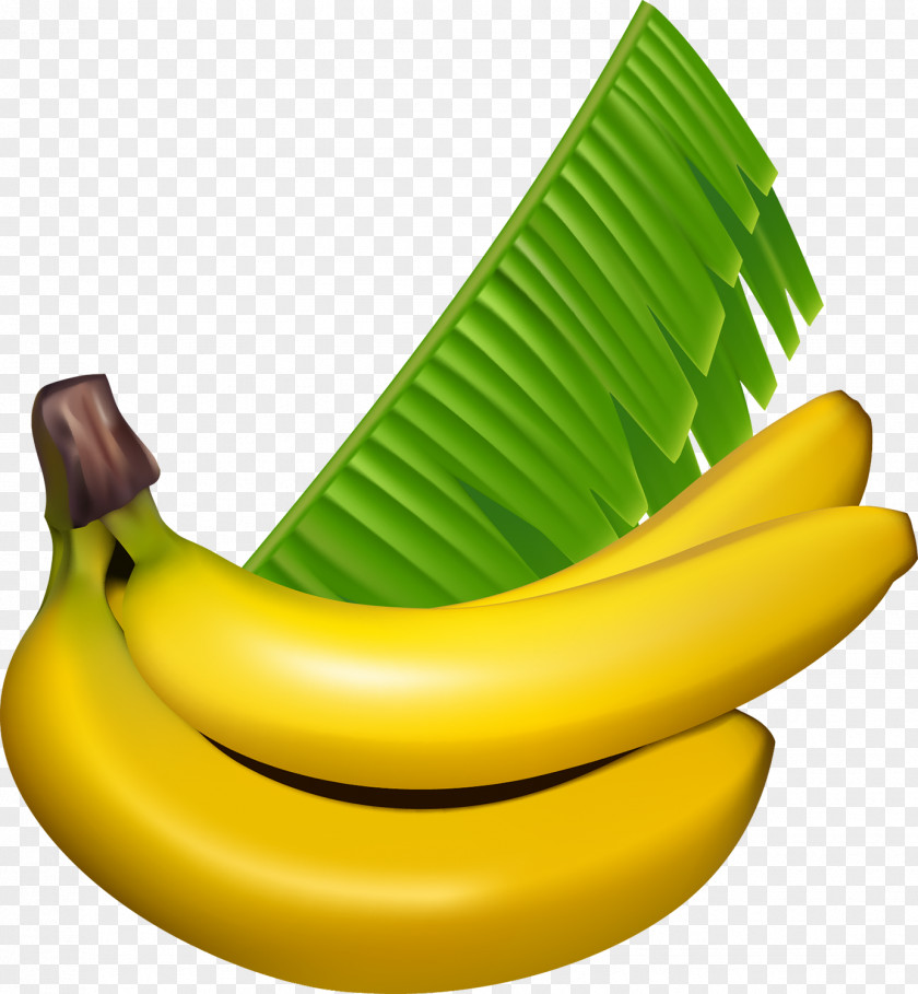 Banana Fruit Drawing Art PNG