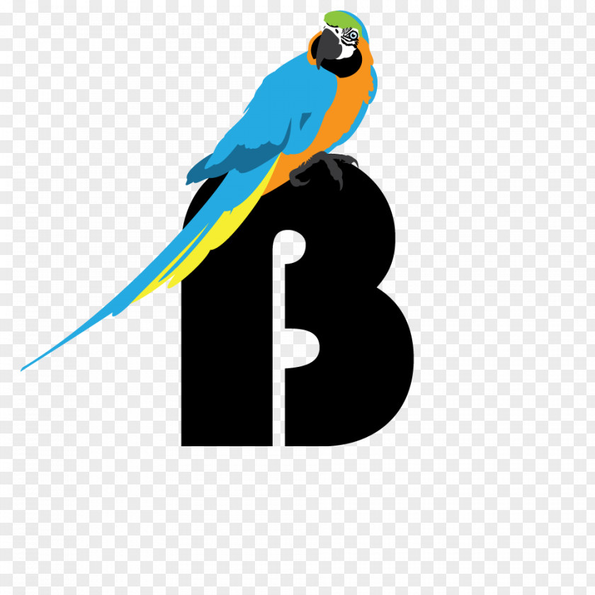 Bird A Chronicle Macaw Parakeet Feather PNG