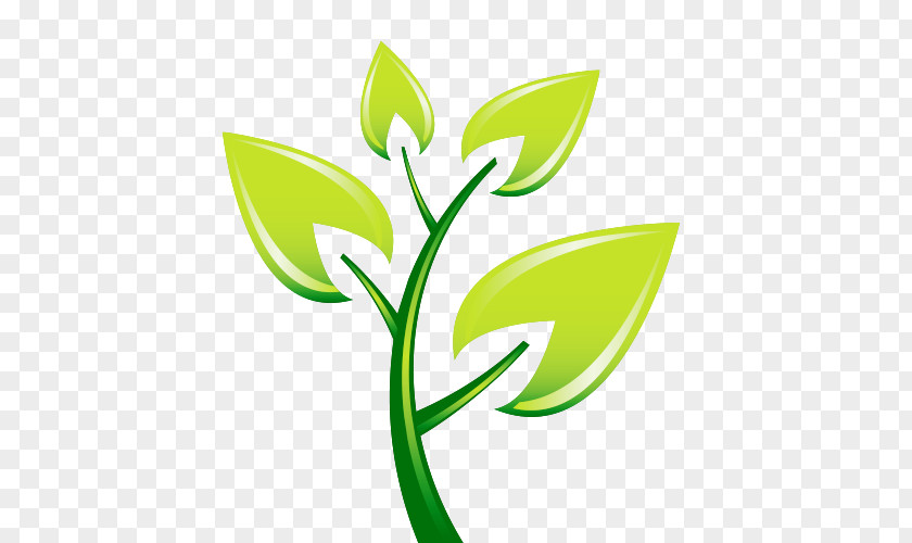 Cartoon Tree Plant Leaves Leaf Clip Art PNG