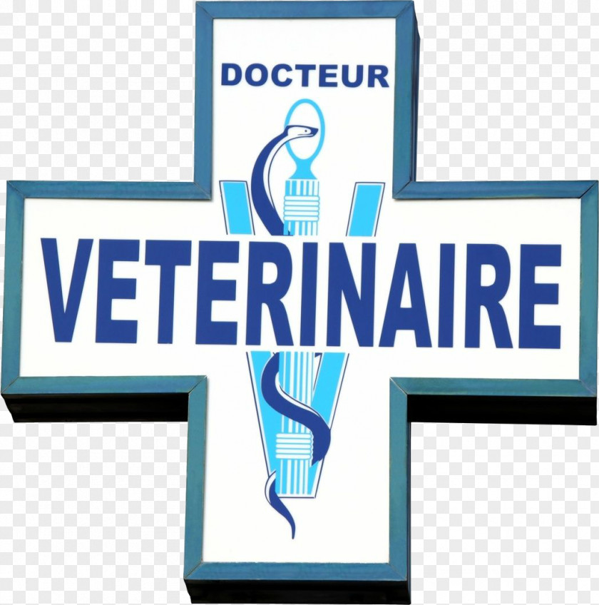Dog Clinique Vétérinaire Veterinarian Cat Horse PNG