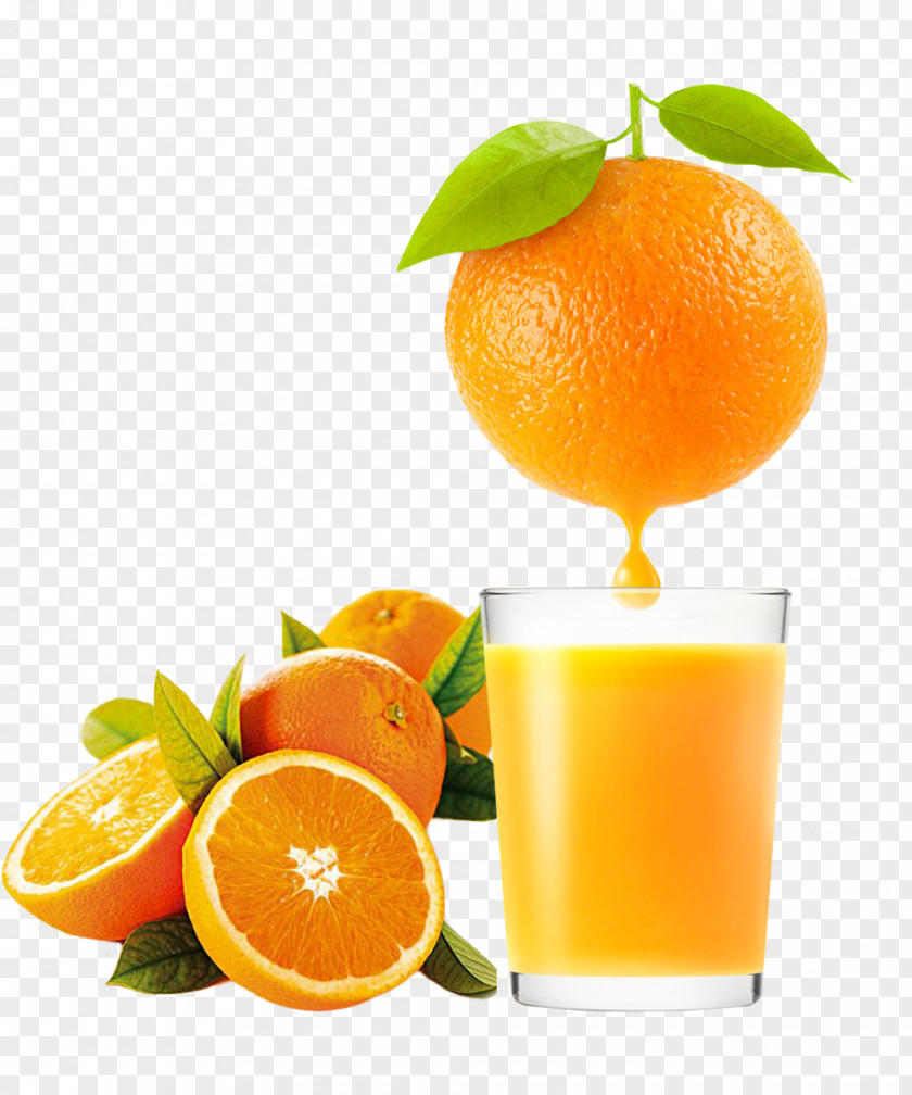 Fresh Fruit Oranges Orange Juice Clementine Drink Tangerine PNG