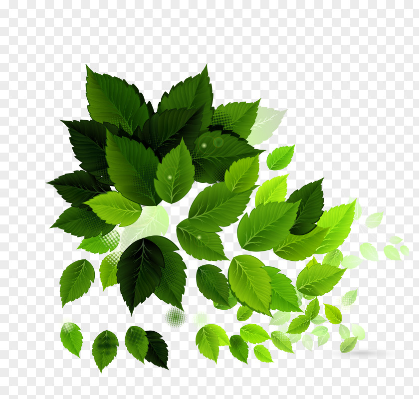 Green Leaf Background Image Electroporation Royalty-free Illustration PNG