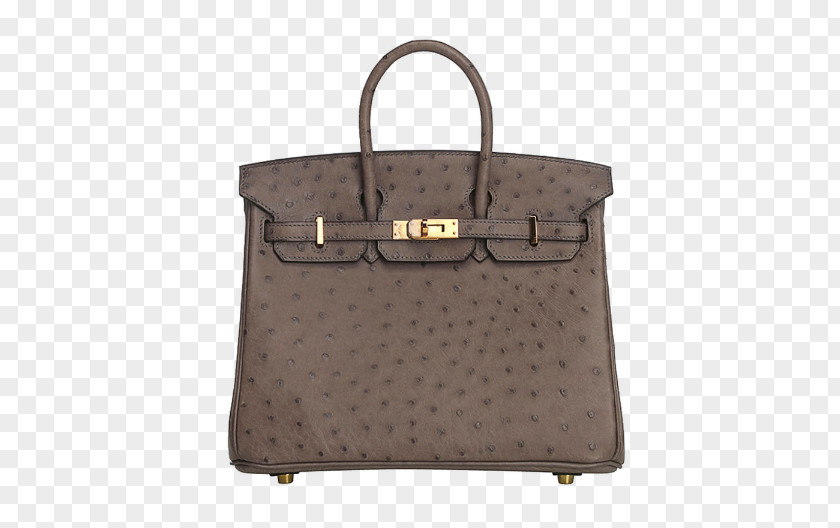Hermes Birkin Platinum Package Gold Buckle 25CM Elephant Gray Ostrich Skin Handbags Handbag Bag Hermxe8s Leather PNG