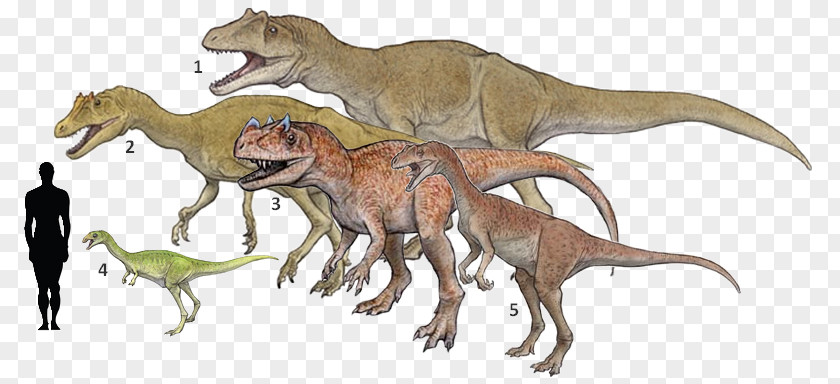 Jurassic Mammals Deltadromeus Bahariasaurus Elaphrosaurus Ceratosaurus Tyrannosaurus PNG
