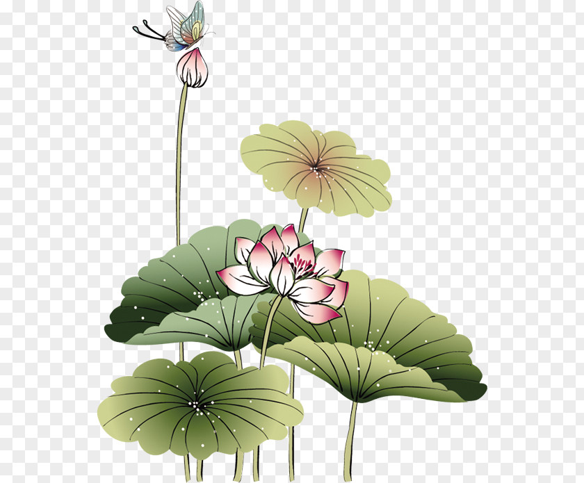 Lotus Nelumbo Nucifera Ink Wash Painting Watercolor PNG