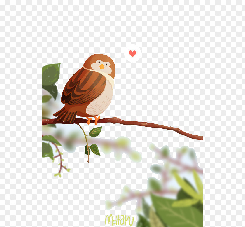 Love Little Sparrow Cartoon Adobe Illustrator Illustration PNG