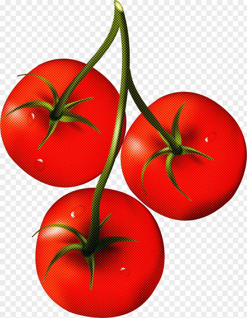 Tomato PNG