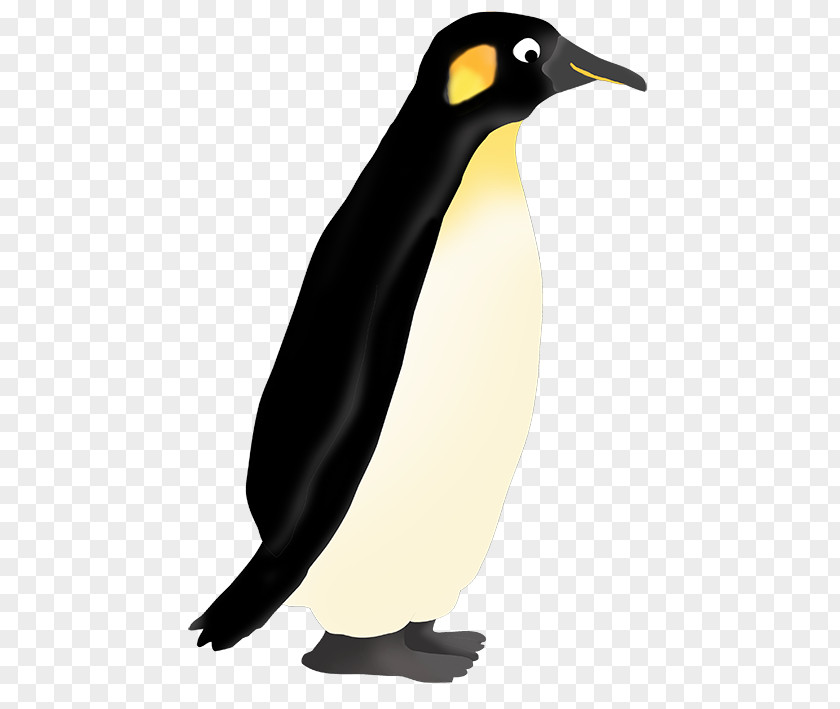 Emperor Cliparts Penguin Free Content Clip Art PNG