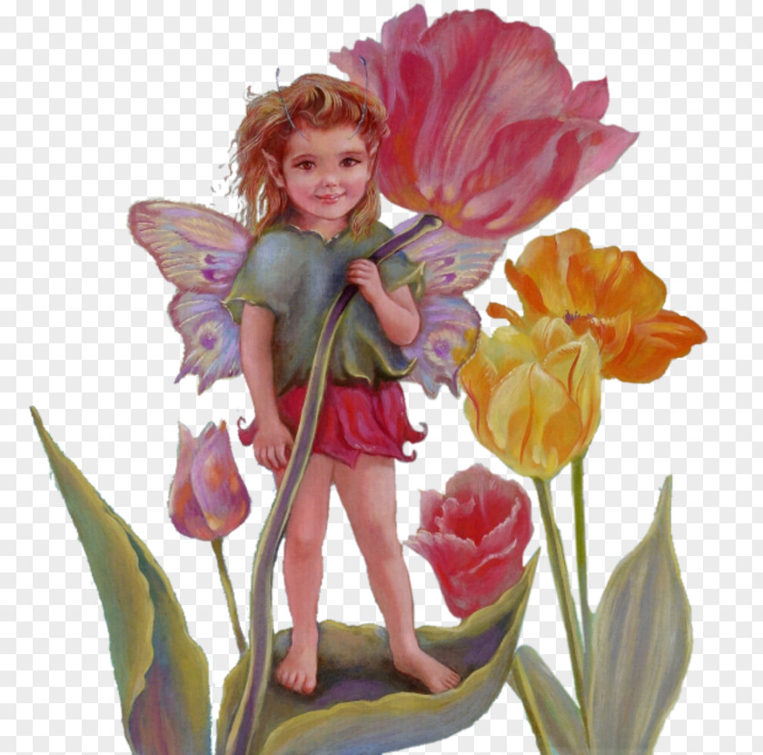 Fairy Animation Elf PNG
