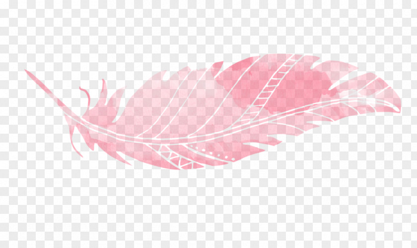 Feather Animal PNG