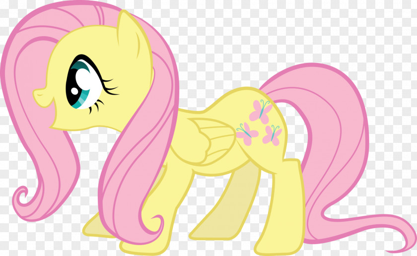 Hug Fluttershy Pony Rarity Twilight Sparkle Rainbow Dash PNG