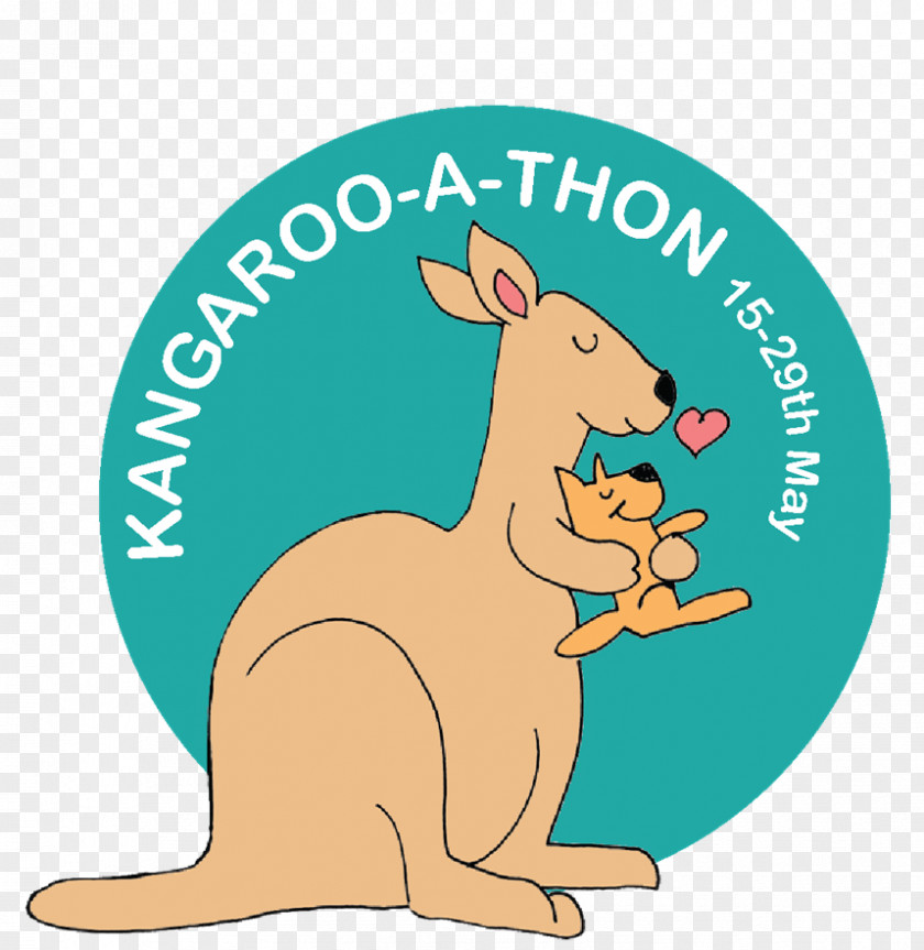 Kangaroo Care Macropodidae Neonatal Intensive Unit Infant PNG