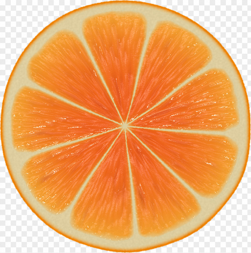 Orange Juice Slice Clip Art PNG