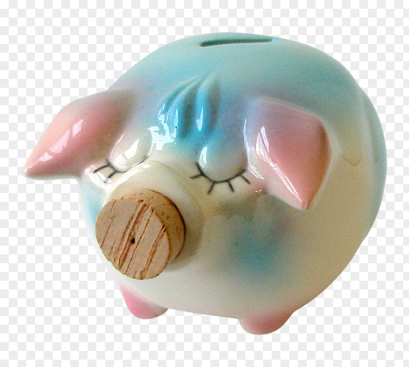 Bank Plastic Piggy Snout PNG
