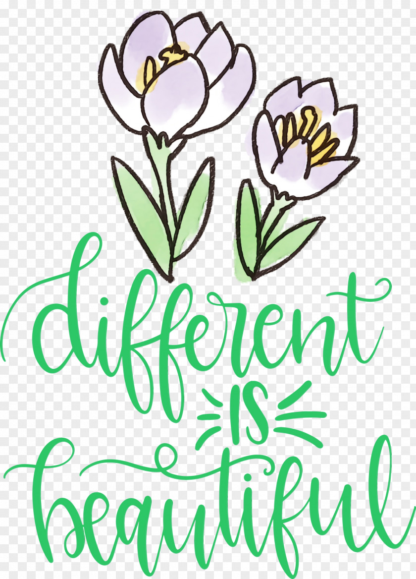 Floral Design PNG