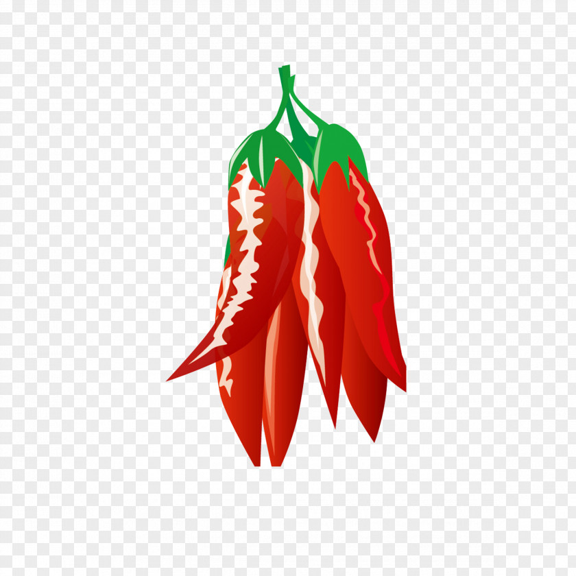 Hand-painted Pepper Chuan Capsicum Annuum Pungency PNG