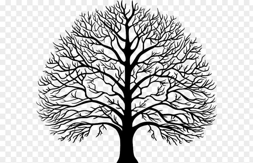 Tree Stencil PNG
