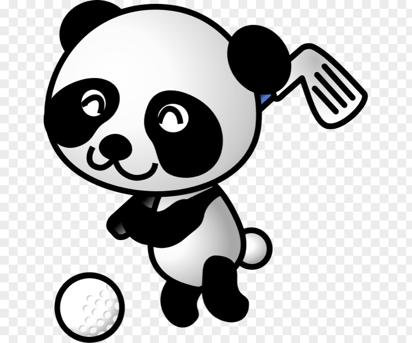 Animal Sports Cliparts Giant Panda Bear Clip Art PNG