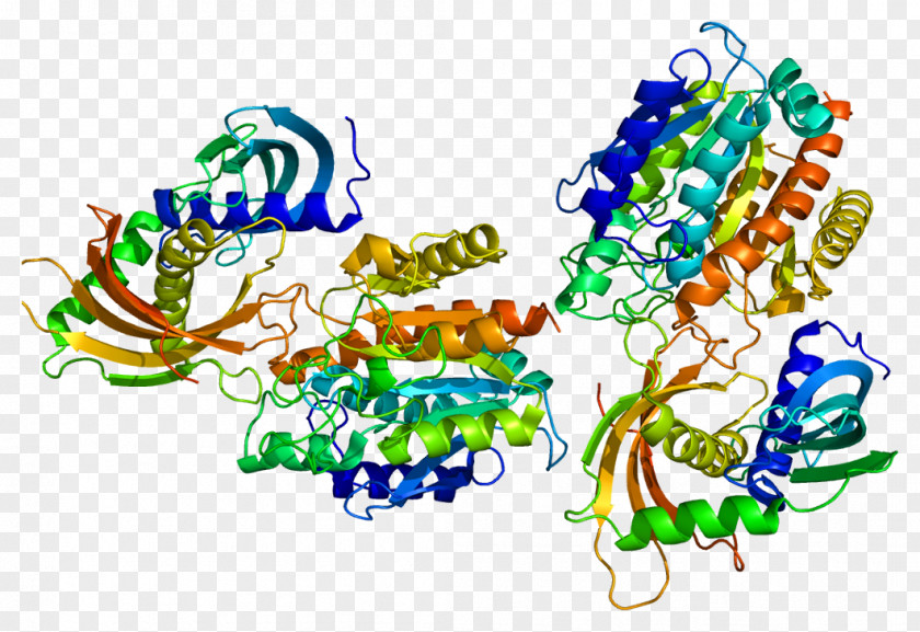 Glutamate Carboxypeptidase II Protein CPA3 Gene PNG