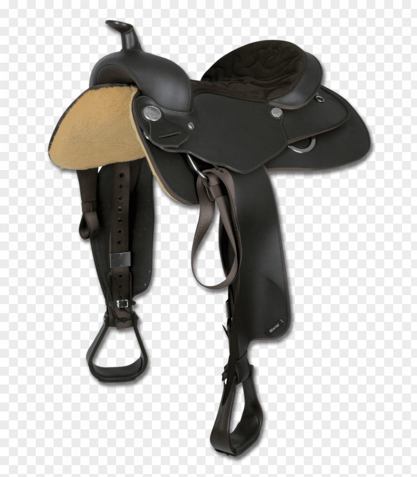 Horse Western Saddle Equestrian PNG