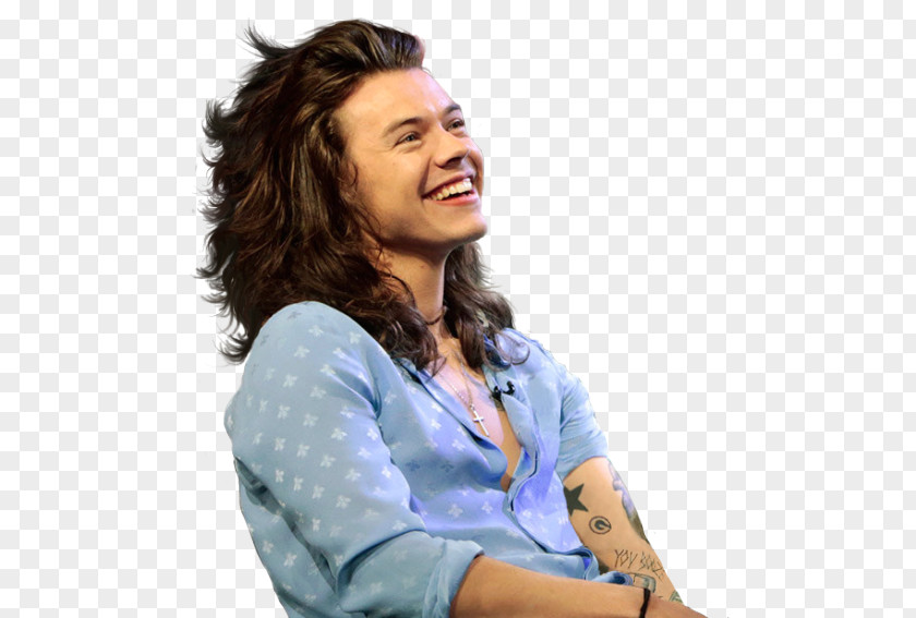 Louis C. Camilleri Harry Styles Actor One Direction Desktop Wallpaper PNG