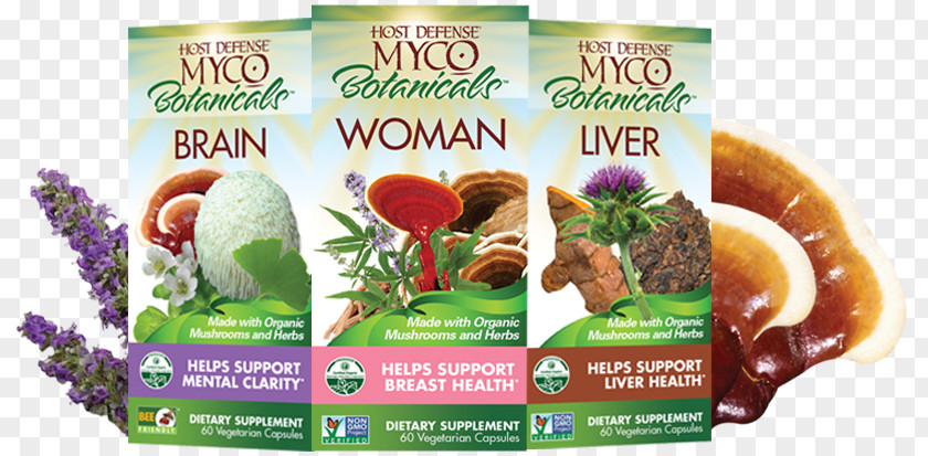 My Family Members Vegetarian Cuisine Host Defense MycoBotanicals Brain Helps Support Mental Clarity Fungi Perfecti Myco Botanicals Woman PNG