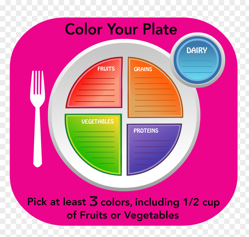 School MyPlate Nutrition Meal Dry-Erase Boards PNG