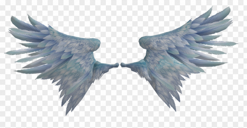 Wings Wing Desktop Wallpaper Clip Art PNG