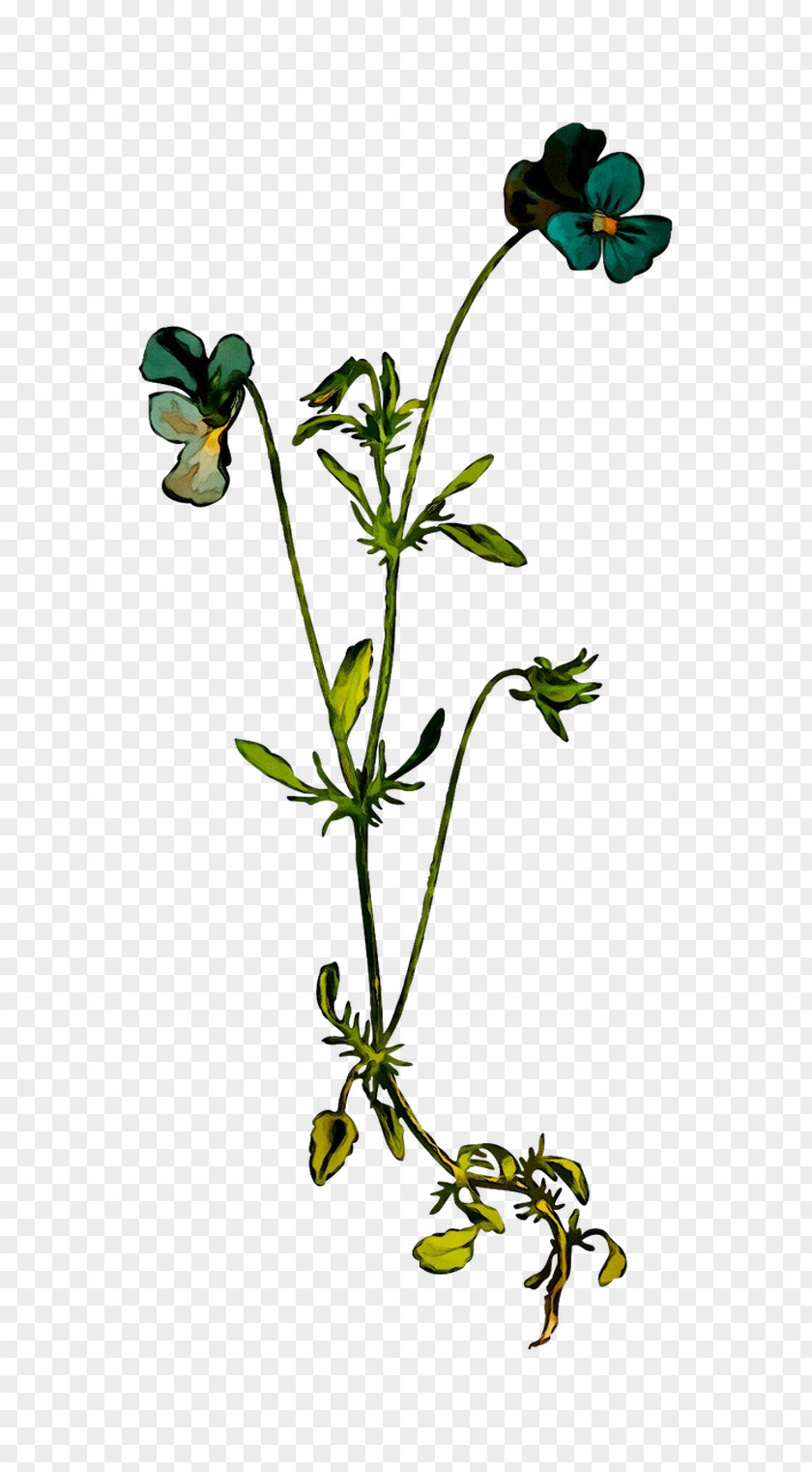 Flower Twig Plant Stem Leaf Plants PNG