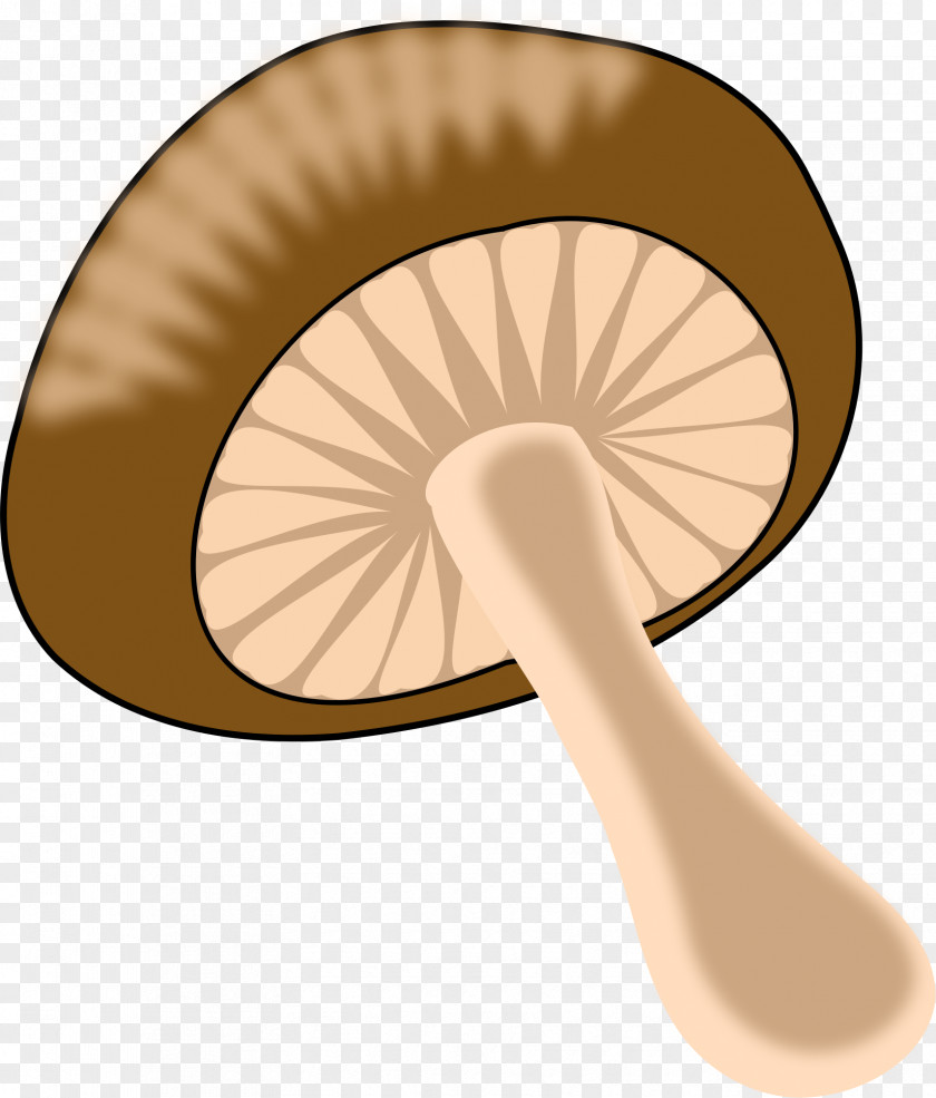 Mushroom Common Clip Art PNG