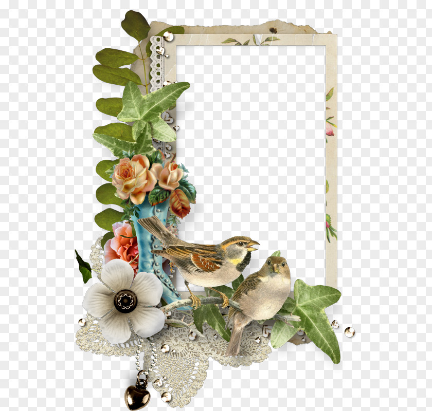 Picture Frames Photography Clip Art PNG