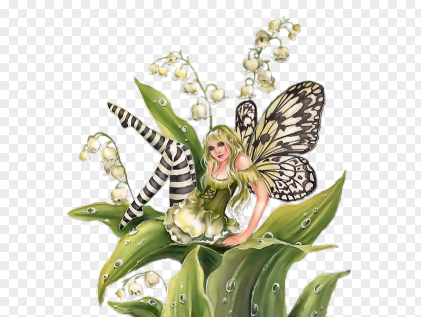 1 May Fairy PNG