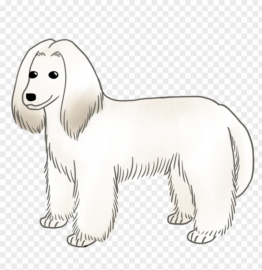 Afghan Hound Dog Breed Puppy Companion Line Art PNG