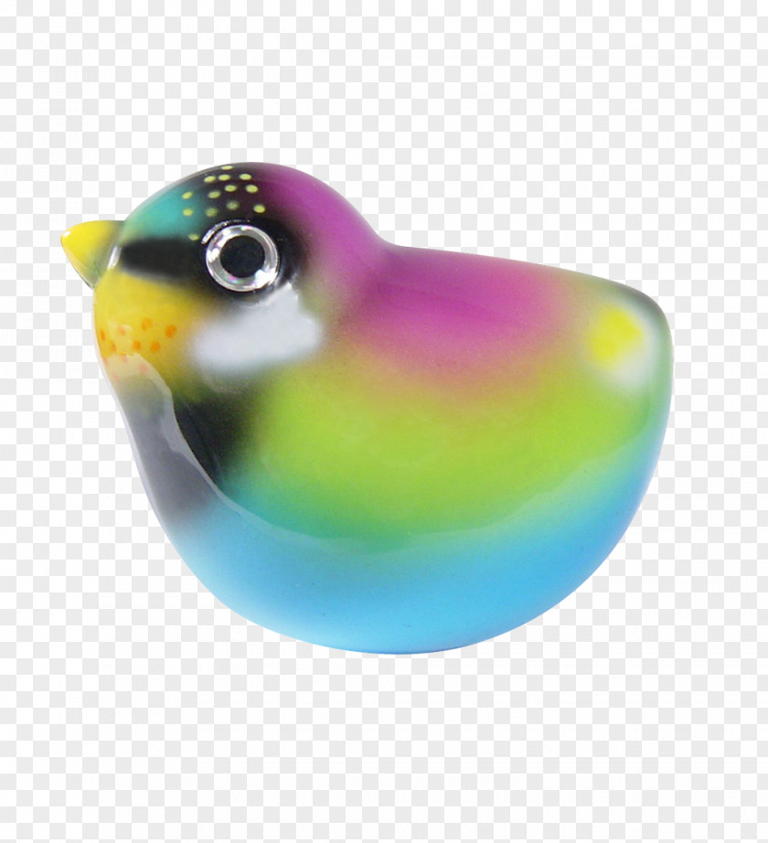 Bird Lovebird Parrot Feather Paper Clip PNG