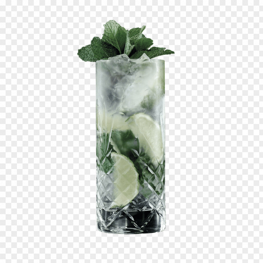 Mojito Highball Glass Vodka Tonic Gin And PNG