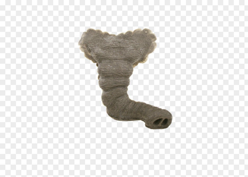 Nose African Elephant Tusk PNG
