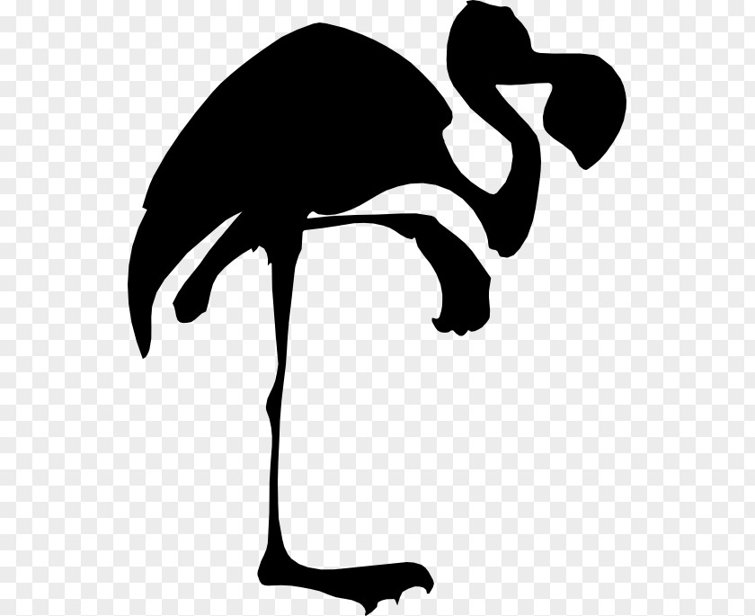 Swans Beak Goose Bird Ducks PNG