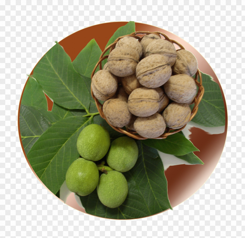 Walnut Macadamia Natural Foods Superfood PNG
