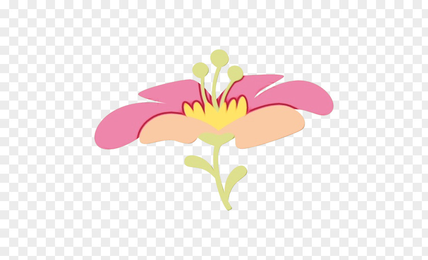 Wildflower Flowering Plant Pink Flower Clip Art Petal PNG