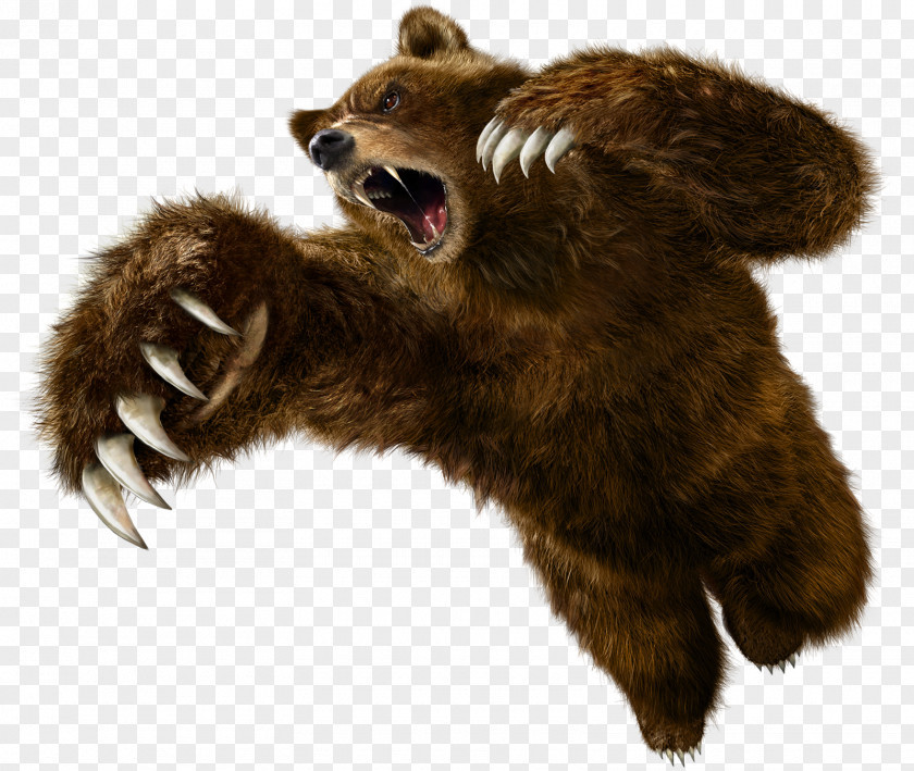 Bear Tekken 6 5: Dark Resurrection Tag Tournament 2 PNG