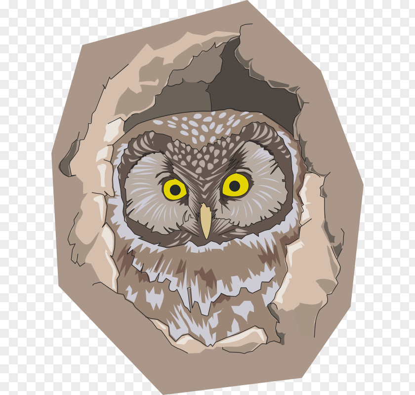 Birds Owl Bird Tree Hollow Clip Art PNG