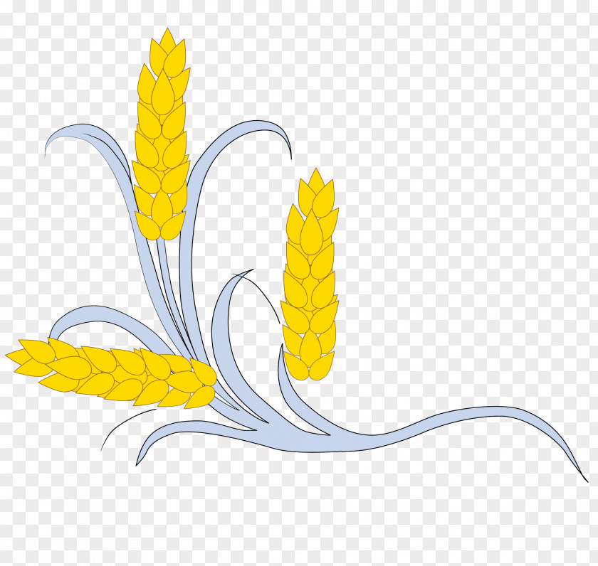 Hand Drawn Vector Wheat Crop Drawing Illustration PNG