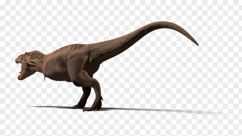 Trex Tyrannosaurus TurboSquid Animal Velociraptor 3D Modeling PNG